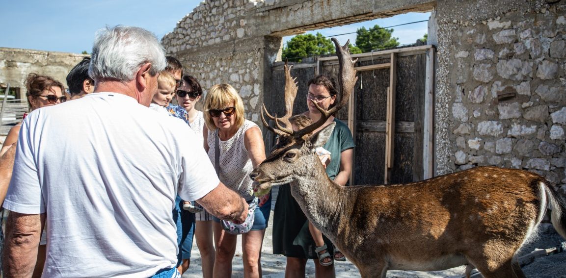 boat trip krk baska, boat excursion krk