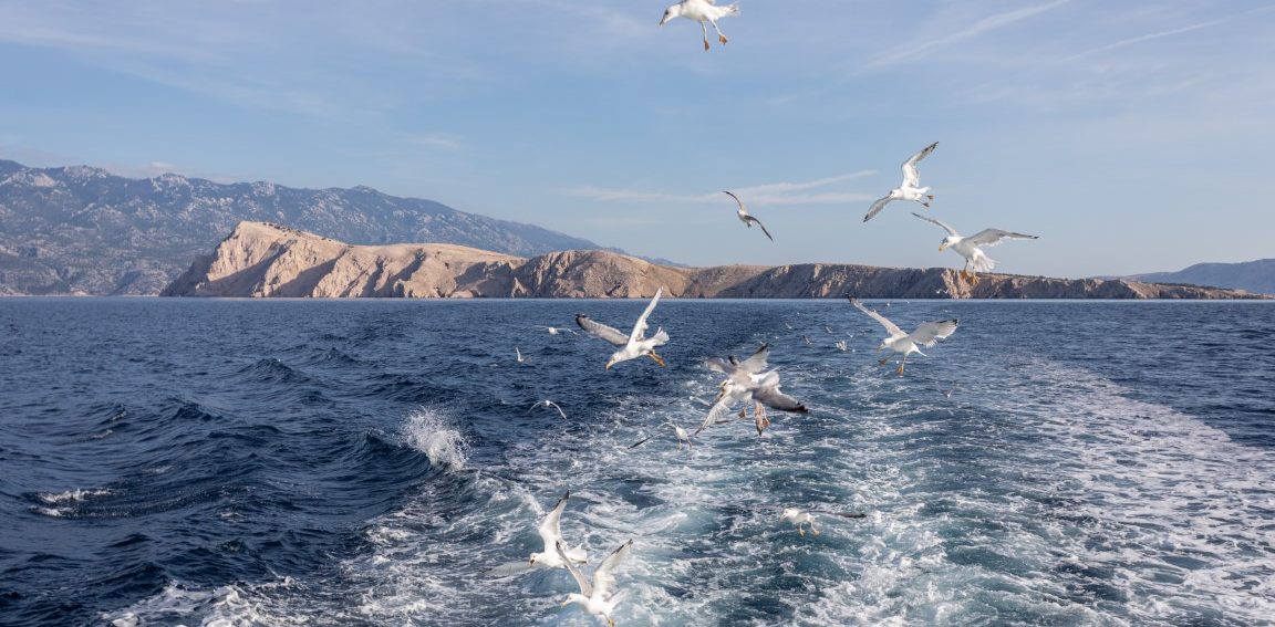 boat trip krk baska, boat excursion krk