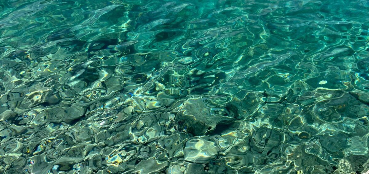 Nacionalni park Kornati, Park prirode Telašćica, izlet brodom,dalmatinski otoci, grupni izlet, plaže, sunčanje, kupanje, kristalno čisto more, opuštanje, priroda, turizam, Hrvatska, more, prijatelji, obitelj, izlet, avantura, uživanje,, tura brodom, brod, delfin, cjelodnevni izlet, otoci, Kornati Nationalpark, Naturpark Telašćica, Bootsfahrt, dalmatinische Inseln, Gruppenreisen, Strände, Sonnenbaden, Baden, kristallklares Meer, Entspannung, Natur, Tourismus, Kroatien, Meer, Freunde, Familie, Ausflug, Abenteuer, Vergnügen, Bootstour, Bootstour, Bootstopp, Tourismus, Kroatien, Meer, Freunde, Familie,Parco nazionale di Kornata, Parco naturale di Telašćica, gita in barca, isole dalmata, gite di gruppo, spiagge, prese al sole, bagno, mare cristallino, rilassamento, natura, turismo, croazia, mare, amici, Kornati National Park, Telašćica Nature Park, boat trip, Dalmatian islands, group trips, beaches, sunbathing, bathing, crystal clear sea, relaxation, nature, tourism, Croatia, sea, boat tour